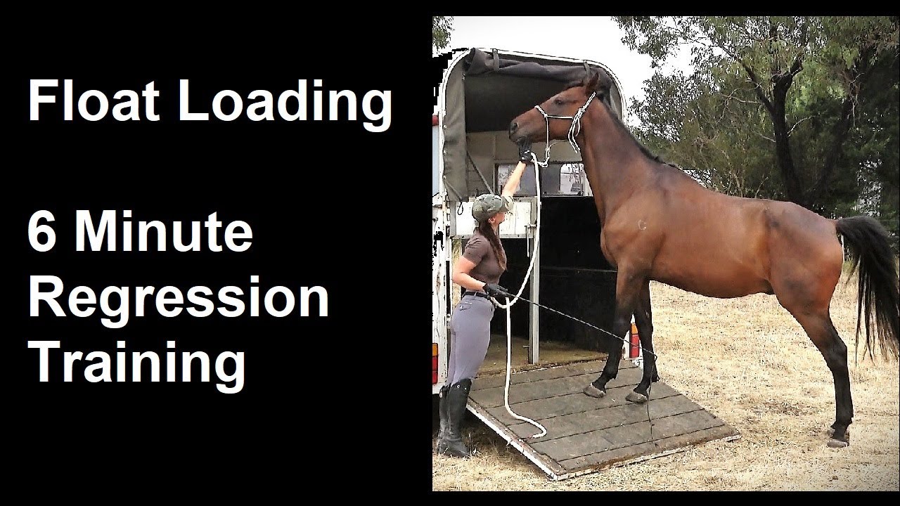 Horsemanship Training - Float Loading 6 Minute Regression Training