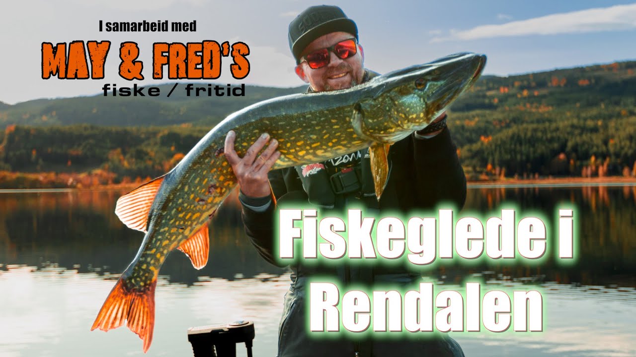 Gjeddefiske i Lomnessjøen - Fiskeglede i Rendalen
