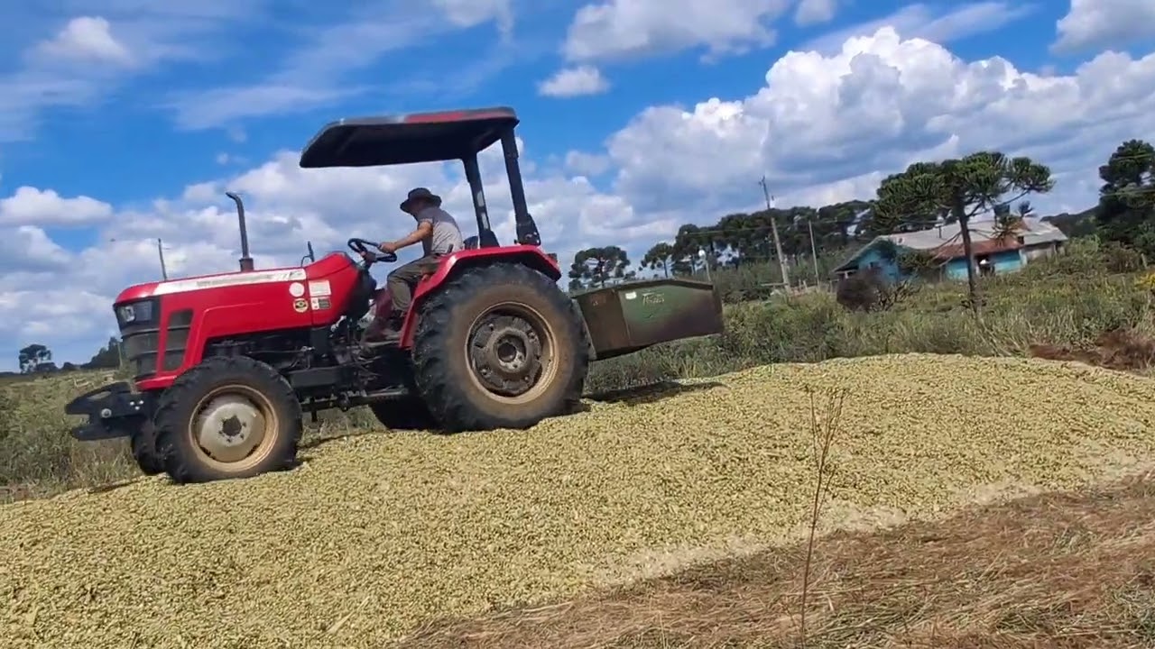 HOJE A LIDA FOI DO SILO 