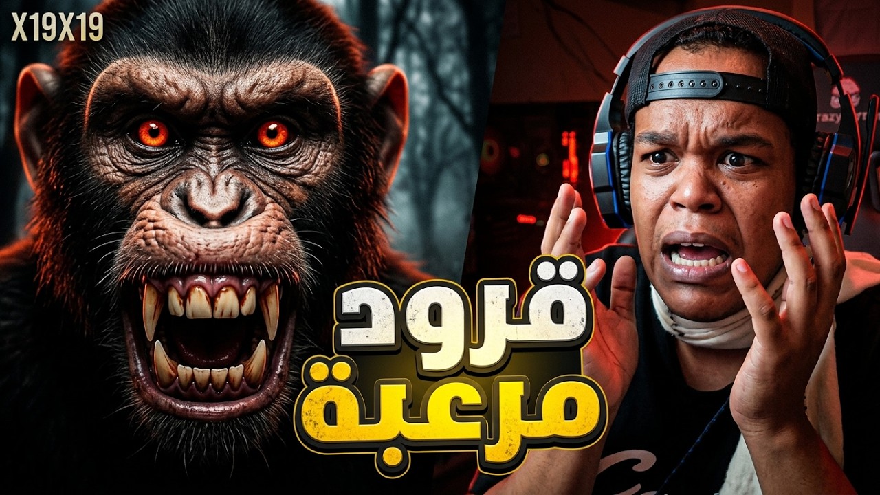 لعبه القرد في الفندق