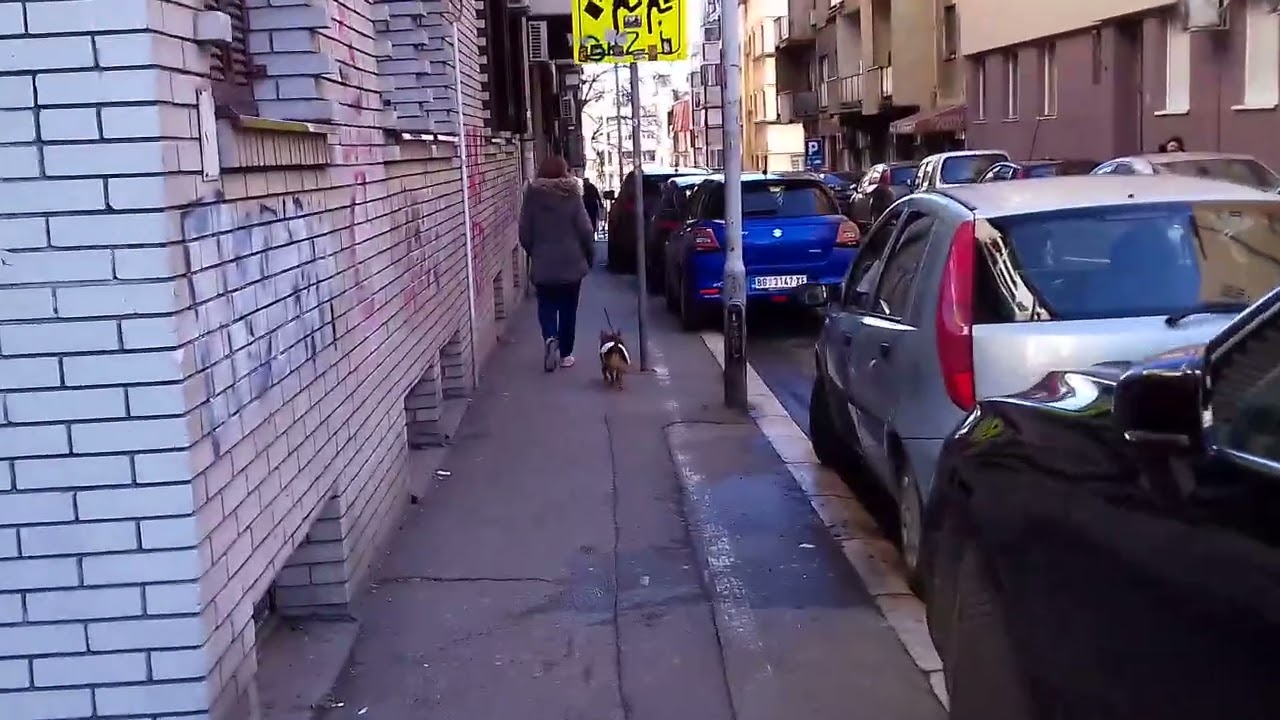 Vladetina ulica  Beograd