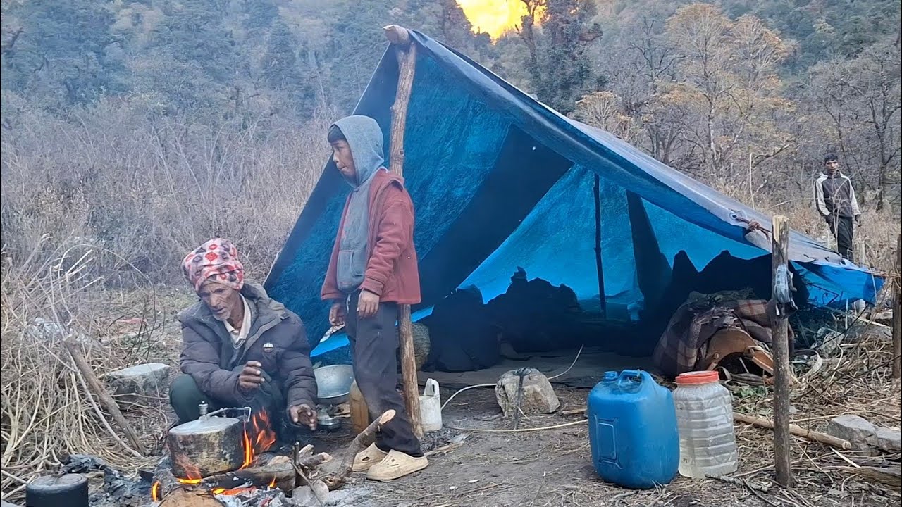 How Shepherds Live in the Mountain Forest and What They Eat!!