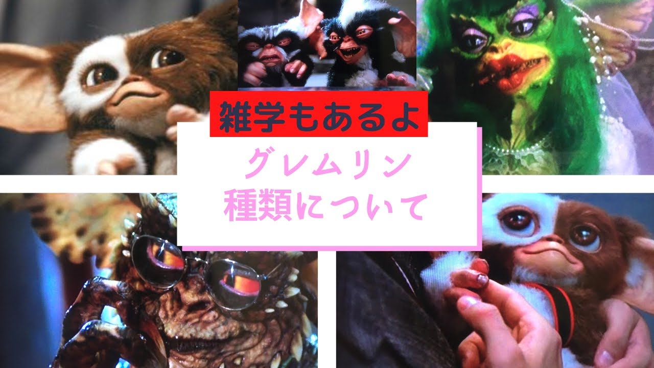 グレムリン種類　雑学