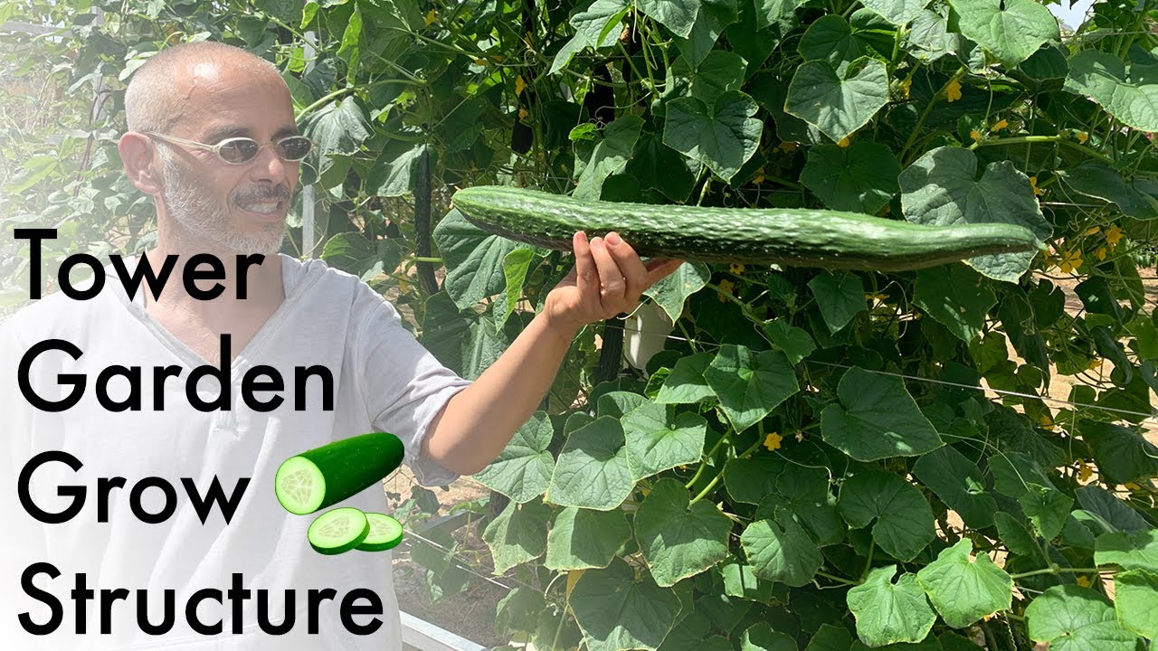 Custom-Made Grow-Structure for the Tower Garden | Tower Garden Custom Cage