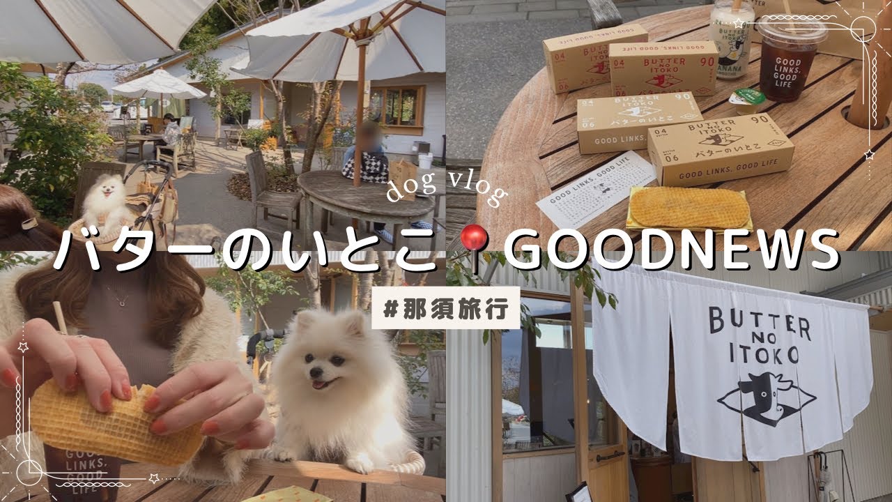 【GOOD NEWS】🧈バターのいとこ📍犬と那須旅行