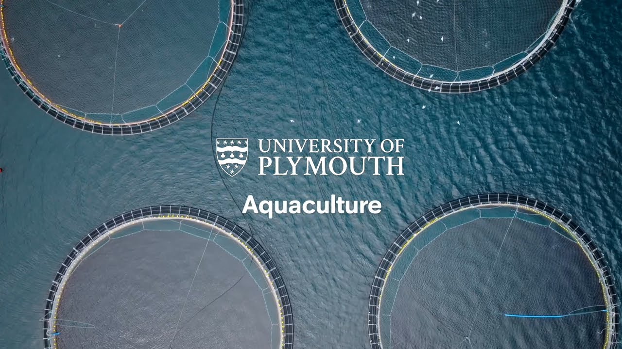 What is aquaculture?
