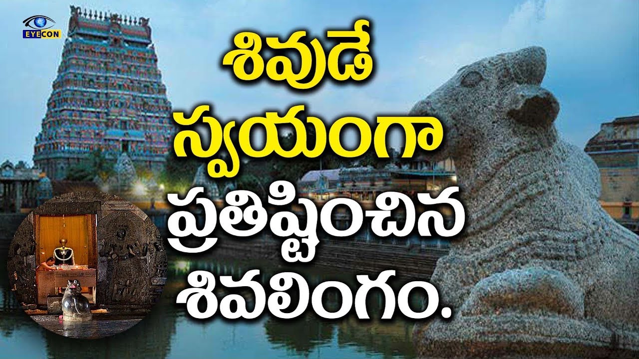 పరమశివుడు ప్రతిష్టించిన శివలింగం | Mahalingeshwara Thiruvidaimaruthur Temple.