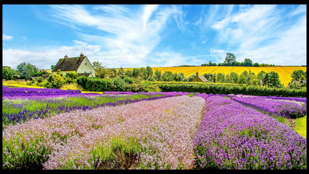 The Beautiful Cotswolds