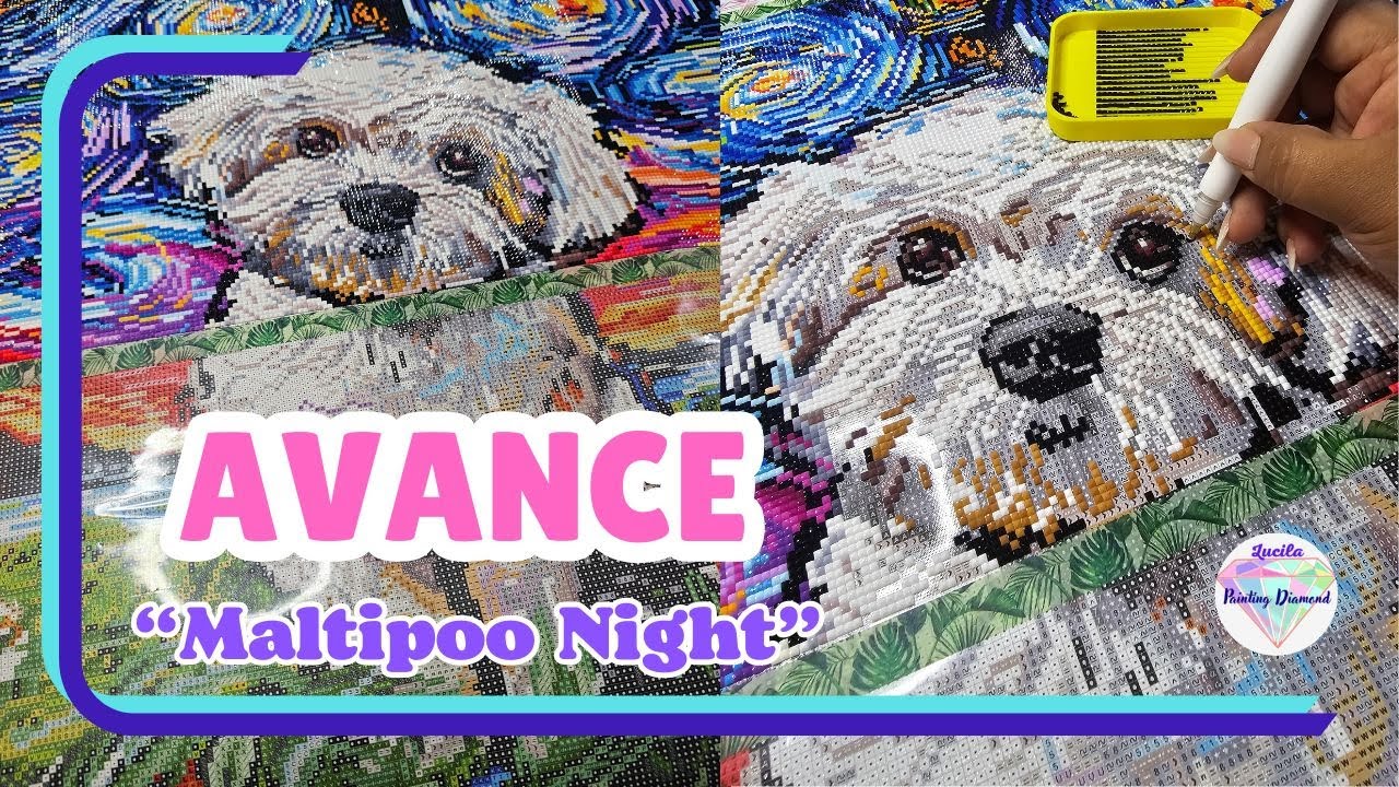 Avance de Lienzo Diamond Painting 