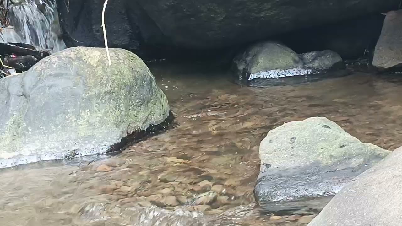 Peace in the Stream: Meditation with the Sounds of Nature