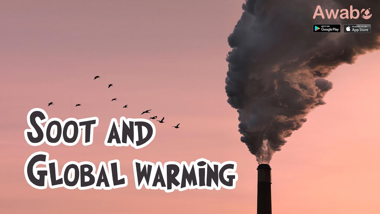 Soot and global warming, The effect of soot on human health