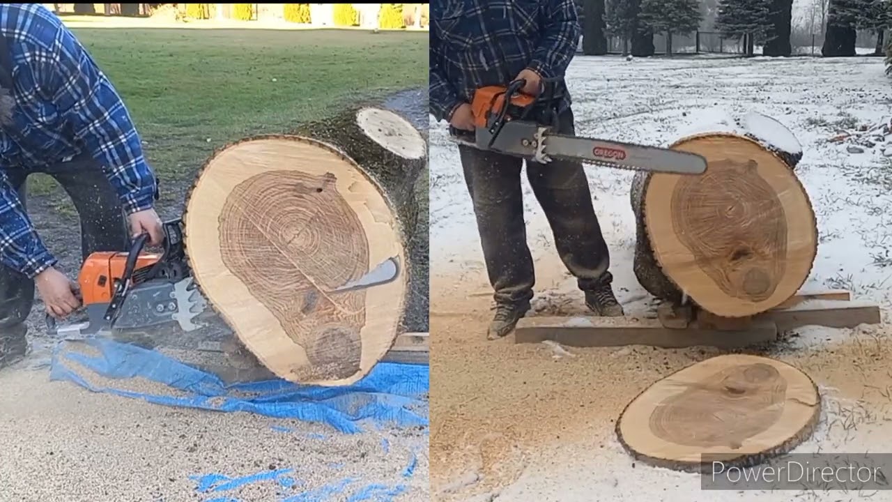 Comparison G660 - G444 vs Huge Ash #holzfforma #stihl #clone #g660 #ms660 #g444 #ms440 #woodworking