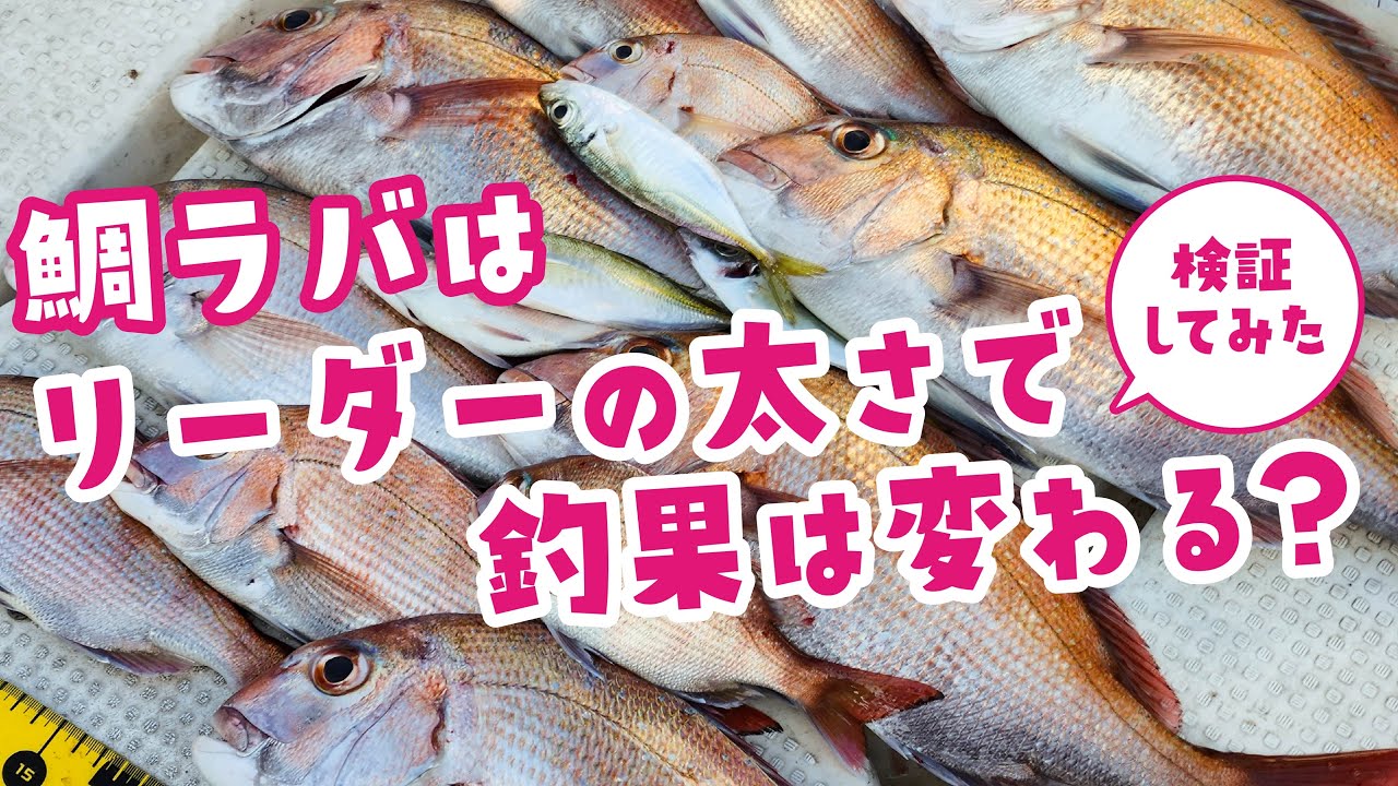 鯛ラバの釣果はリーダーの太さで変わるのか検証してみた！【タイラバ・NEO390】