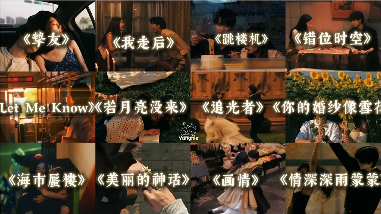 💔 中文歌单｜这是我听过最好听的歌单｜每一首都很有感觉 ｜中文情绪歌曲 🎧Douyin playlist 2026