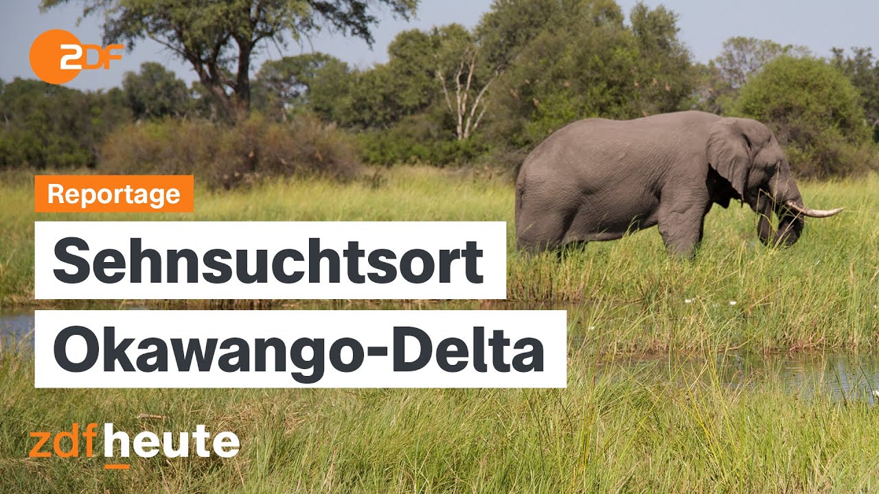 Auswandern nach Botswana: Der Traum von der Selbstständigkeit im Nationalpark