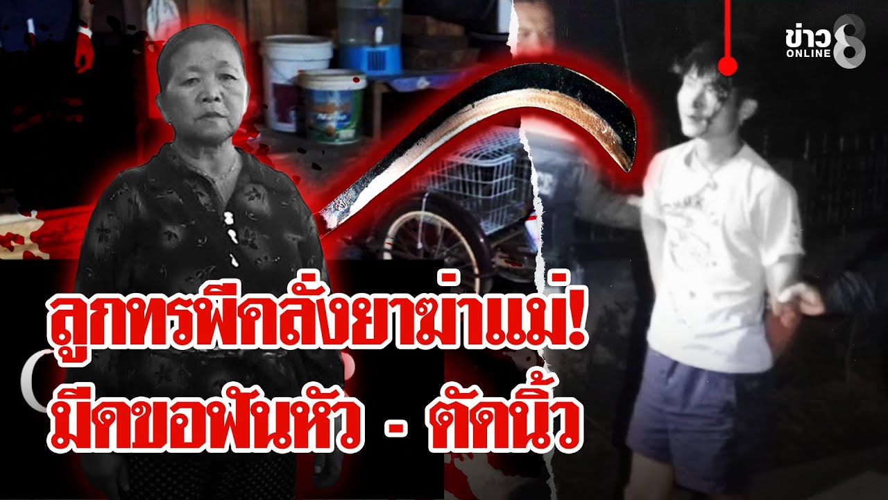 ลูกทรพีคลั่งยาฆ่าแม่ สยองมีดขอฟันหัว - ตัดนิ้ว สังหรณ์ตายว่าต้องถูกลูกฆ่า | ลุยชนข่าว | 02 ก.พ. 69