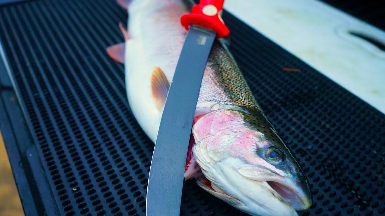 The ONLY STEELHEAD FILLET Tutorial You'll Ever Need!