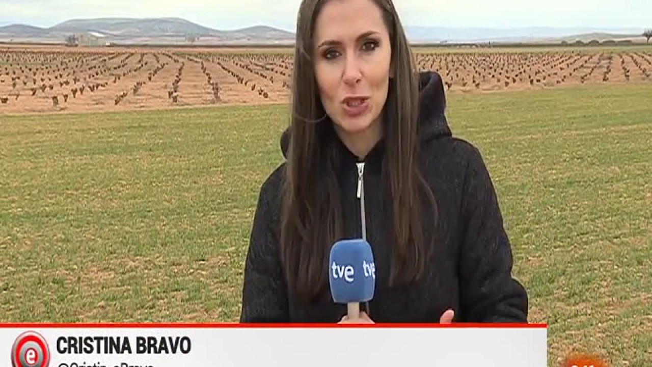Protecci&oacute;n de aves esteparias a trav&eacute;s de agricultores agrosostenibles | RTVE