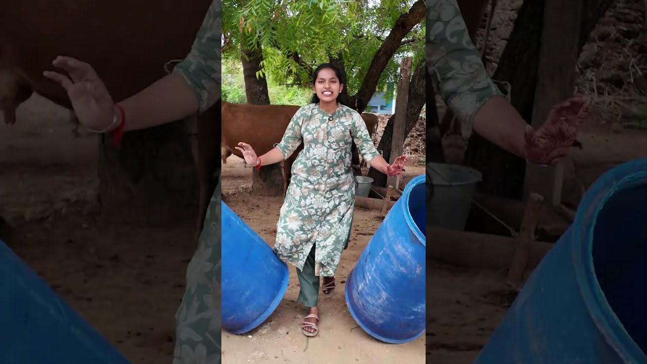 கையால் பால் கறக்க சிரமம் இனி வேண்டாம்🐄4 Milking Machine Models &ndash; Choose the Right One for Your Farm🥛