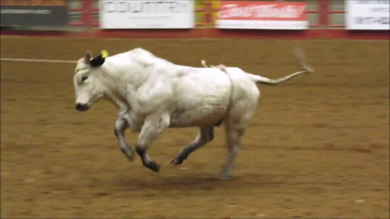 Fort Worth Stockyards Championship Rodeo Cowtown Coliseum
