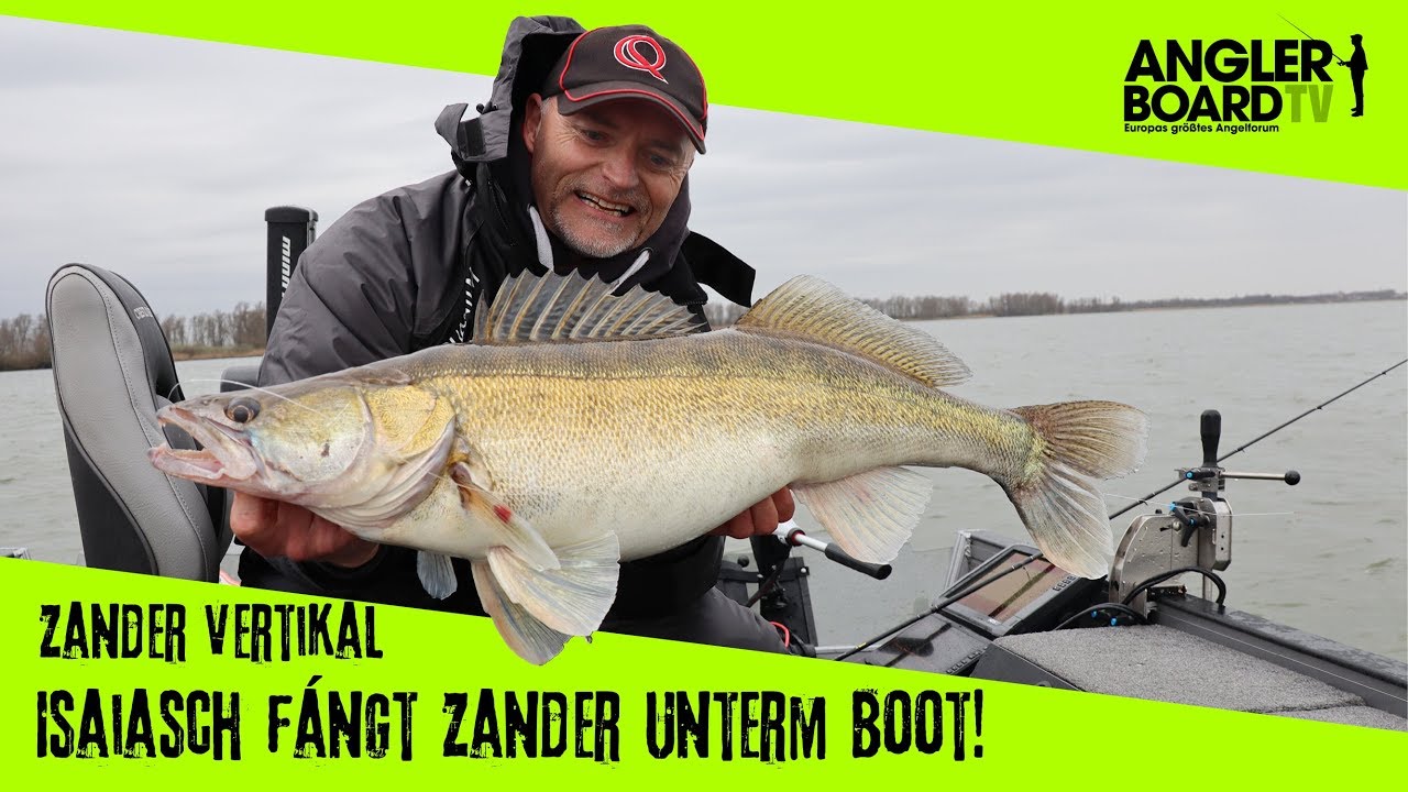 Zanderangeln vertikal mit Dietmar Isaiasch | Anglerboard TV