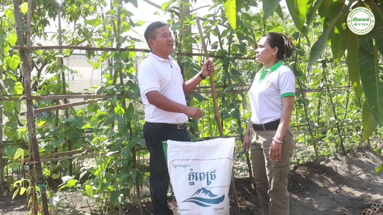 ដីគឺជាកត្តាសំខាន់សម្រាប់ការដាំដុះ | យន់ សុផា