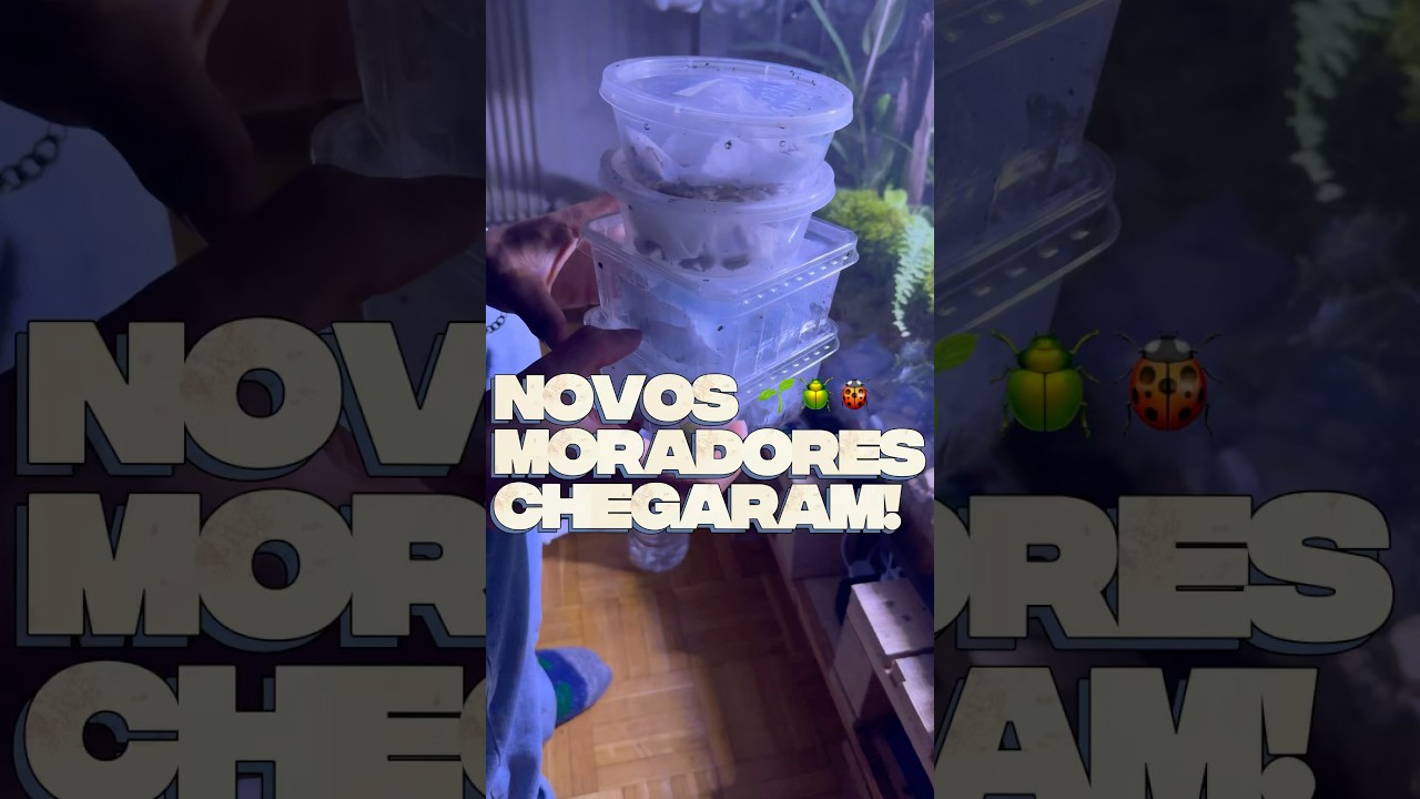 “Novos isópodes para coleção!