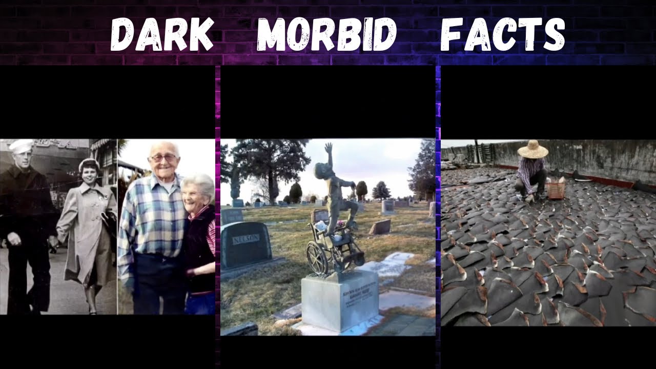 Morbidly Wholesome Facts You Won't Believe Are True pt.1 | Creepy Tiktok Videos