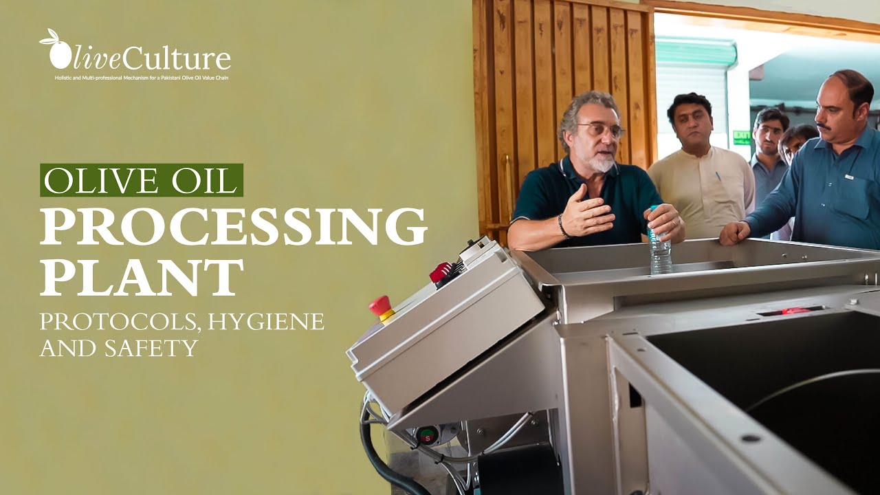 Olive Mill Training