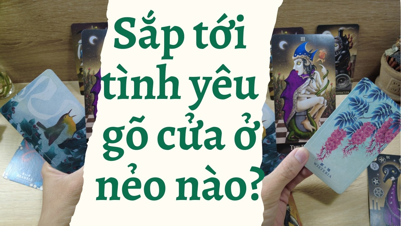 Sắp tới tình yêu gõ cửa ở nẻo nào? | người yêu gặp ở đâu khi nào - Khu vườn nhỏ của Andy