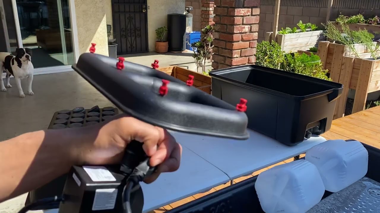 EZ Clone Set up