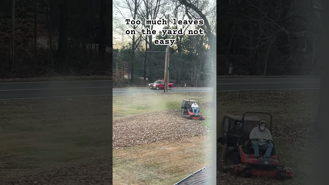 Too much leaves on the yard #mower #lawnmower #lawn #viral #trending #cleaningmotivation #shorts