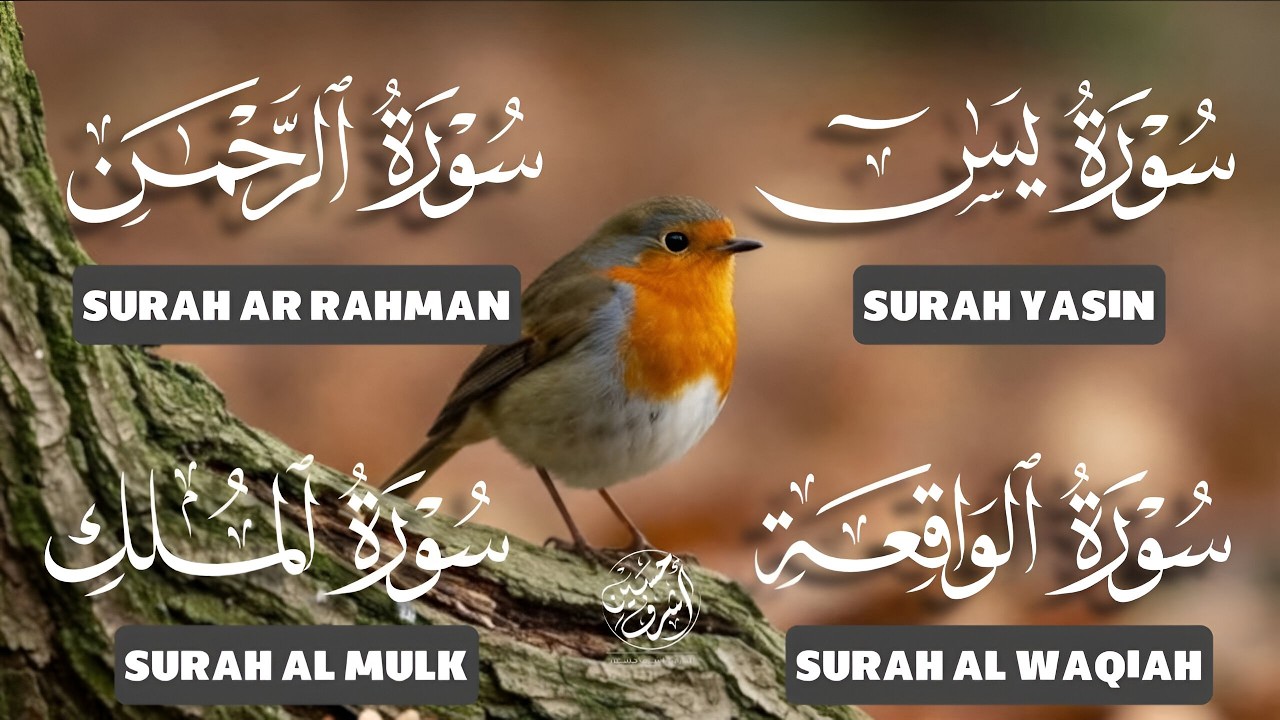 Very Nice Voice Surah Yaseen | Surah Rahman | Surah Waqiah | Surah Mulk l Reciter Ashraf Hussain 060