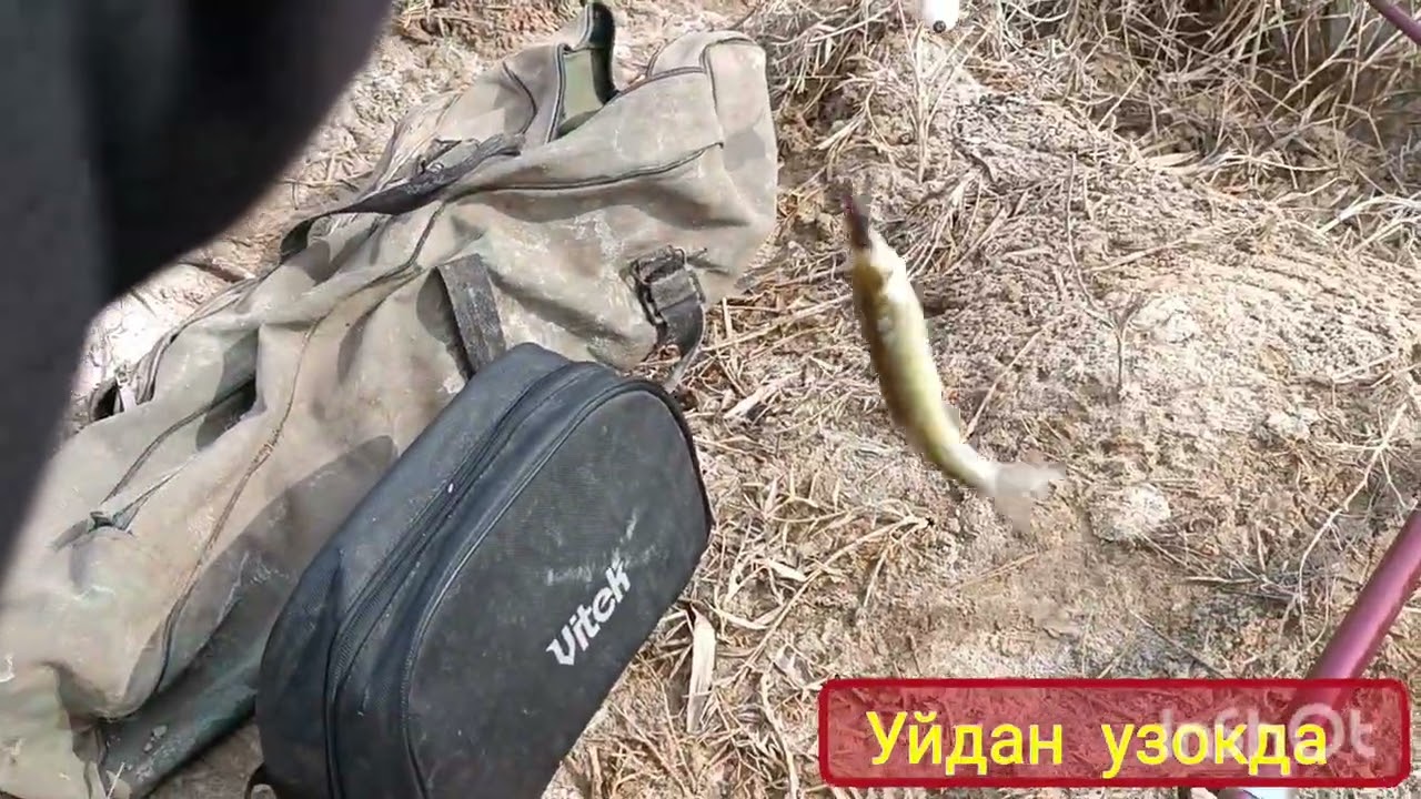 Майда караслар макони 8 март 