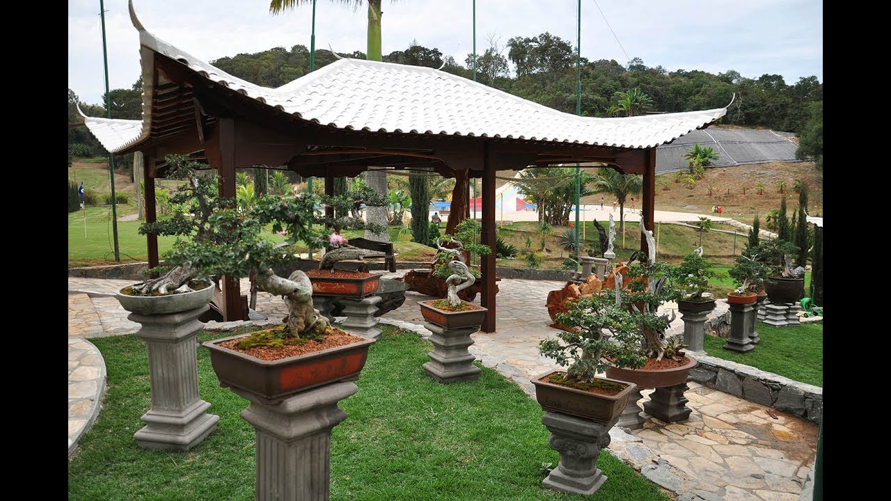 MUSEU DO BONSAI - FRANCISCO CORRÊA