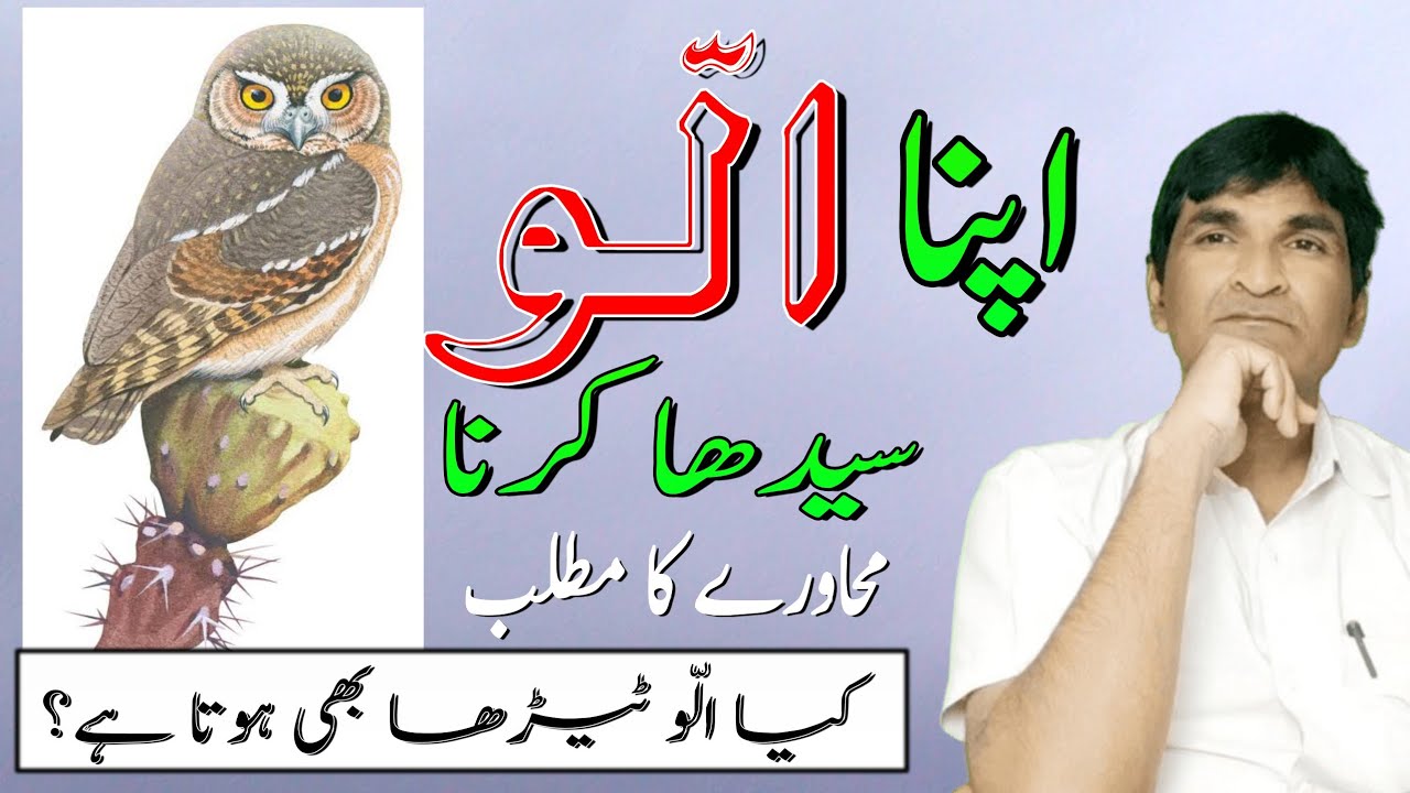 Apna ullu seedha karna || Muhawre ka matlab aur definition ||اپنا الو سیدھا کرنا || کیا الو ٹیڑھا ہے