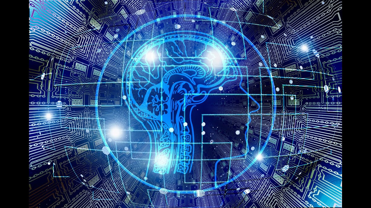 Training your Brain and Neuroleadership _ Myelin Leadership