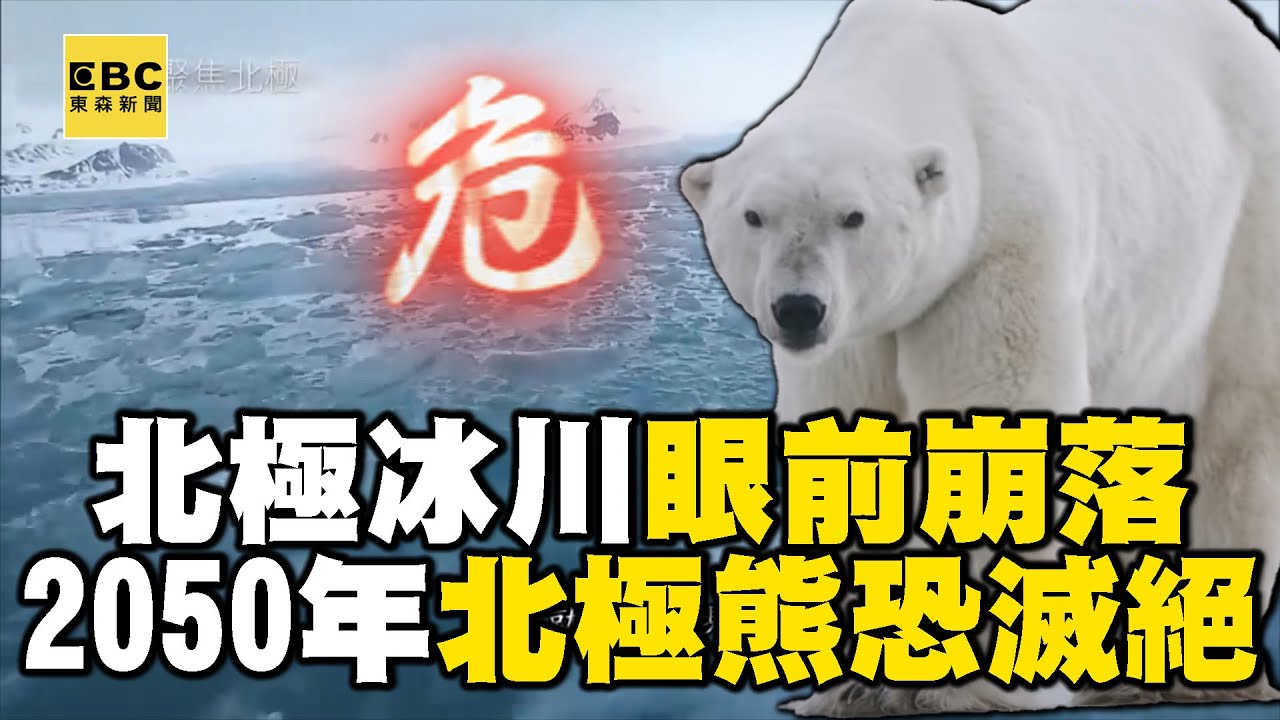 【精選】北極億萬年冰川「因暖化加速消融」驚險在眼前崩落！2050年恐無海冰「全球面臨滅絕危機」！？｜聚焦全世界｜舒夢蘭