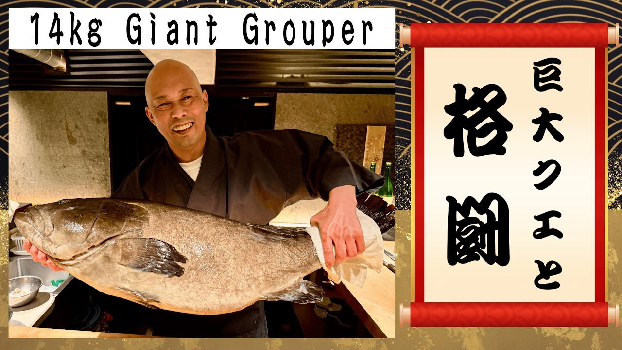 巨大クエと格闘する寿司職人｜14kg Giant Grouper｜Japanese Sushi Master