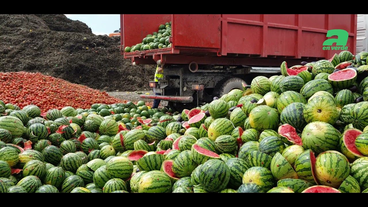 Los precios de la sandía y el melón  por los suelos