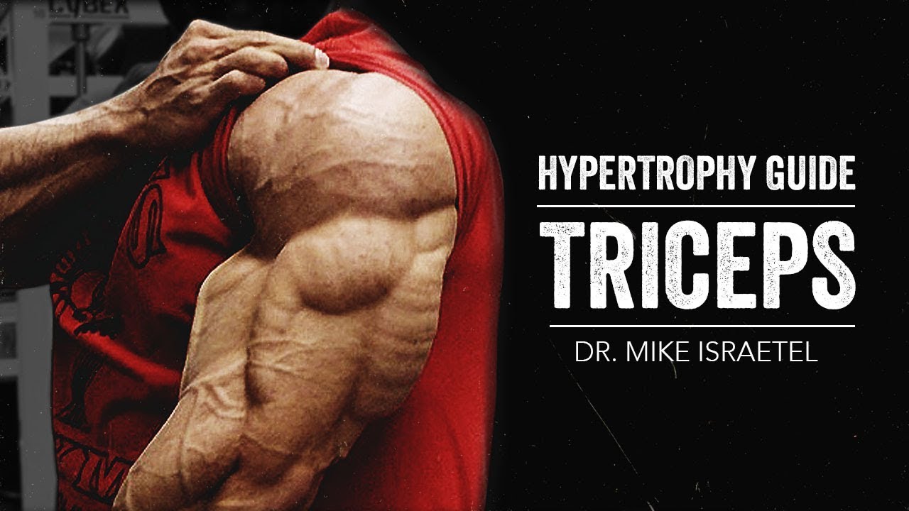 Руководство по гипертрофии | Трицепс | JTSstrength.com