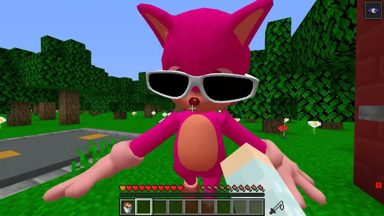 KIZ BEBEK SONİC SEVİYELERİ - ⚠️ Minecraft