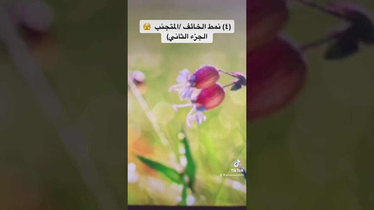 نمط الخائف/ المتجنب في الحب 🫣 (الجزء الثاني)