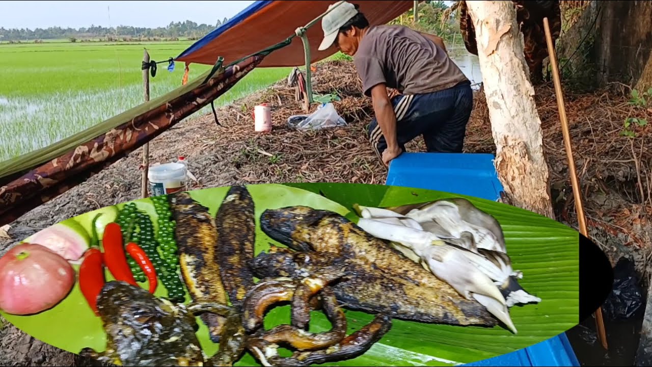 Tập26 _ trải nghiệm săn bắt cắm câu ll bữa nay trúng mánh cá ếch lưon quẩy về muốn không nổi