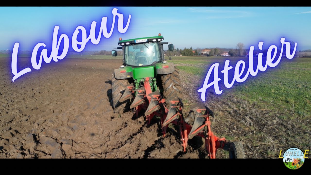 Suite des structures à l’atelier et du labour ❄️⚒️🦌🌻🌽 #317