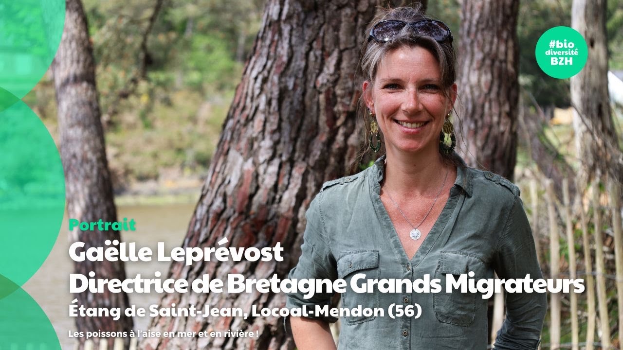 Bretagne Grands Migrateurs : les poissons à l'aise en mer et en rivière ! 🐟