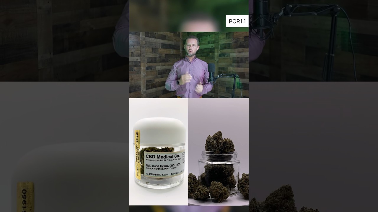 PCR1.1 (1/5) Project Cannabis Relief. Nonprofit cannabis crops. #cbd #thc #dwc #cannabis