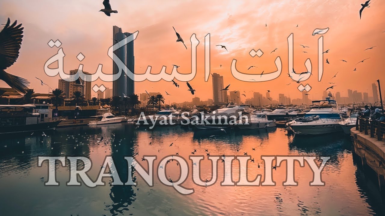 إذا ضاقت بك الدنيا.. استمع إلى هذه الآيات | راحة نفسية فورية مع أحمد النفيس