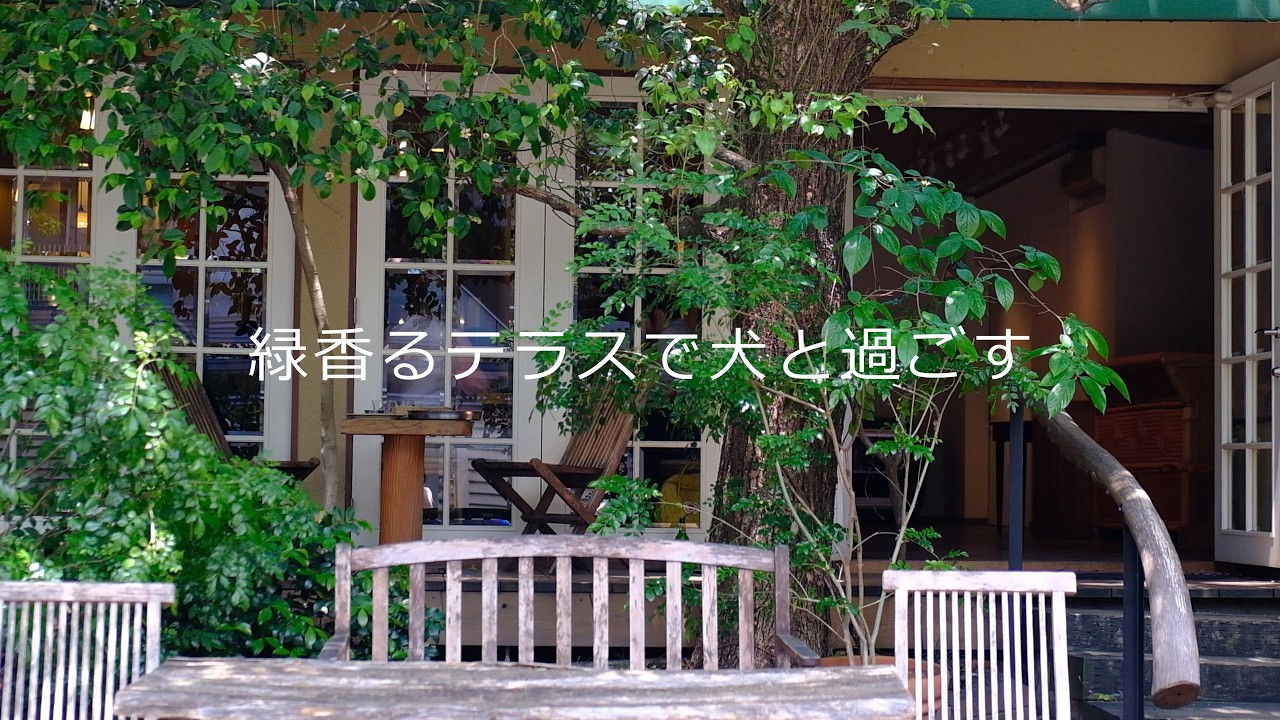 京都のわんこ飼いおすすめ6店！一緒に過ごせるテラス席のあるレストラン＆カフェをメインに選んでみました！