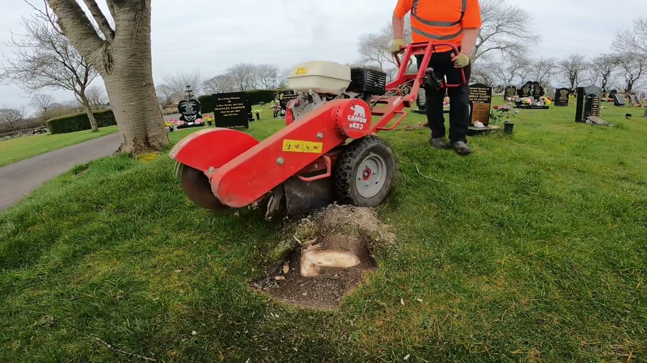 Grinding away in the gardening world
